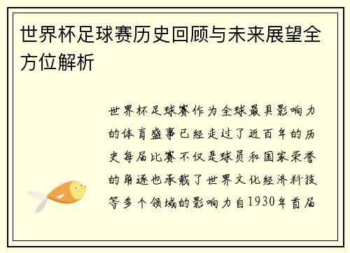 世界杯足球赛历史回顾与未来展望全方位解析