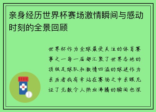 亲身经历世界杯赛场激情瞬间与感动时刻的全景回顾